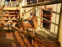 0270 Gäste-Lodge Klein Aus Vista