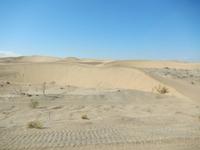 0282 Dünen vor Kolmanskop