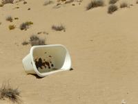 0306 Diamanten-Geisterstadt Kolmanskop
