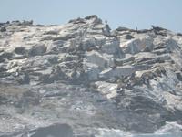 0345 am Diaz Point auf der Lüderitz-Halbinsel