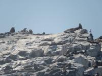 0348 am Diaz Point auf der Lüderitz-Halbinsel