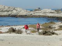0349 am Diaz Point auf der Lüderitz-Halbinsel