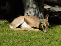 0377 im Hotel Helmeringhausen