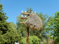 0379 im Hotel Helmeringhausen