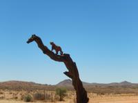 0386 Hammerstein Lodge