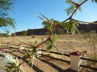 0405 Namib Desert Lodge