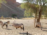 0410 Namib Desert Lodge