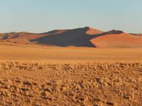 0420 frühmorgens im Sossusvlei