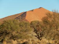 0429 frühmorgens im Sossusvlei