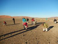 0434 Steinesammeln im Sossusvlei