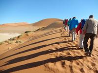 0460 Dünenwanderung auf Big Mama im Sossusvlei