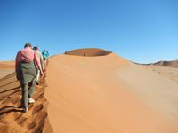 0462 Dünenwanderung auf Big Mama im Sossusvlei