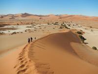 0470 Dünenwanderung auf Big Mama im Sossusvlei