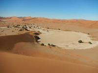 0472 Dünenwanderung auf Big Mama im Sossusvlei
