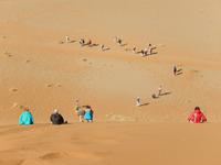 0482 lustiger Abstieg