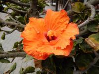 0607 in Swakopmund unterwegs