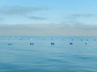 0650 Katamaran-Ausflug Walvis Bay - Austernzucht