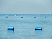 0651 Katamaran-Ausflug Walvis Bay - Austernzucht