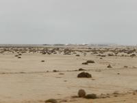 0725 Salinen bei Swakopmund