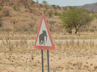 0734 Achtung Elefant