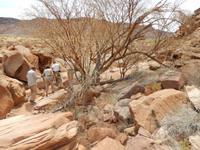 0764 Twyfelfontain - zweifelhafte Quelle