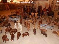 0772 im versteinerten Wald