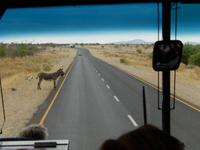 0777 Verkehrspolizist