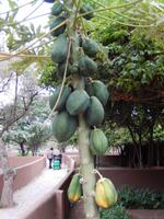 0785 Damara Mopane Lodge