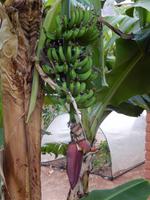 0787 Damara Mopane Lodge