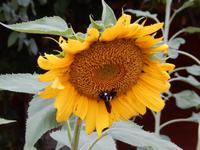 0788 Damara Mopane Lodge