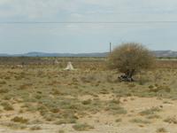 0795 zahlreiche Termitenhügel