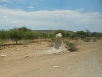 0796 zahlreiche Termitenhügel