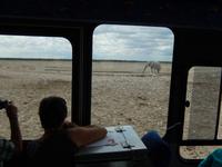 0983 Etosha-Nationalpark - Elefant am Wosserloch