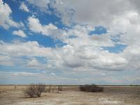 0999 Etosha-Nationalpark