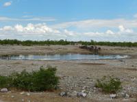 1029 Etosha-Nationalpark - Elefanten am Wasserloch