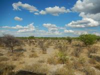 1041 Etosha-Nationalpark