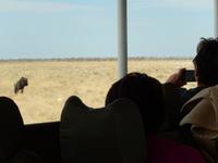 1051 Etosha-Nationalpark - Pirschfahrt