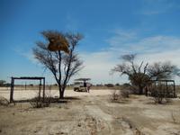 1077 Etosha-Nationalpark - Mittagsrast