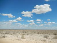 1095 Etosha-Nationalpark
