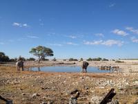 1113 frühmorgens am Wasserloch im Camp