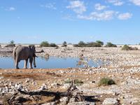 1115 frühmorgens am Wasserloch im Camp