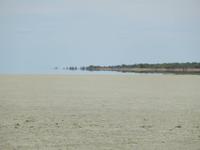 1164 Fata Morgana in der Etosha-Pfanne