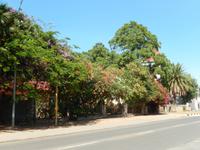 1189 Bergbaustadt Tsumeb