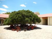 1207 Grootfontein - Große Quelle