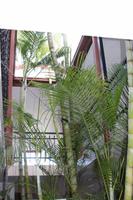 im Hotelkomplex Thule