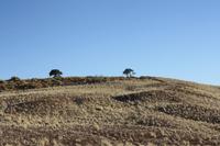 Landschaft in Namibia