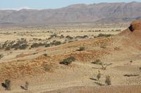 Blick auf die Namib Dessert Lodge