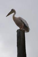 Schiffahrt in der Walvis Bay