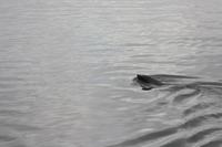 Schiffahrt in der Walvis Bay