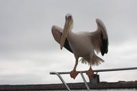 Schiffahrt in der Walvis Bay